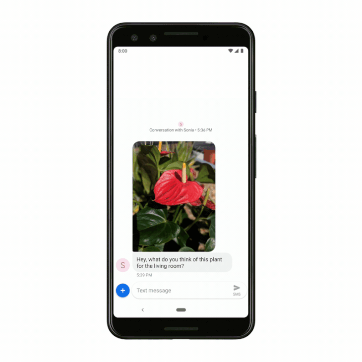 Pixel3のPlaygroundとGoogle Lensで世界を違う側面から見る(2/2)
